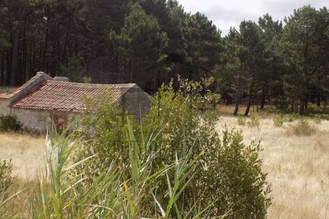 Helårsgrund i Caldas da Rainha, Leiria, Caldas da Rainha - € 599.000 | Ref: RRL-020 - foto 11