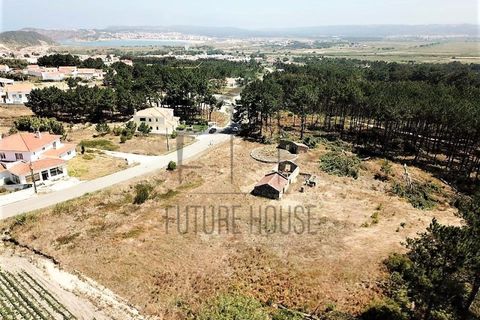 Helårsgrund i Caldas da Rainha, Leiria, Caldas da Rainha - € 599.000 | Ref: RRL-020 - foto 13