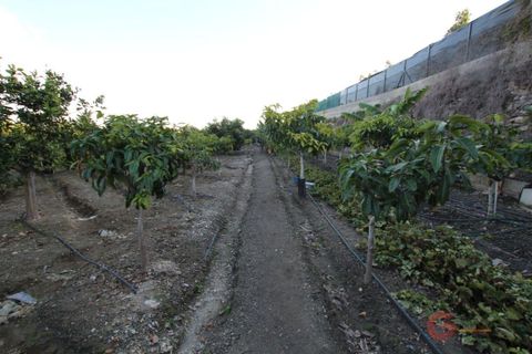 Finca i Salobrena, Granada, Salobrena - € 318.000 | Ref: 1355 - foto 2