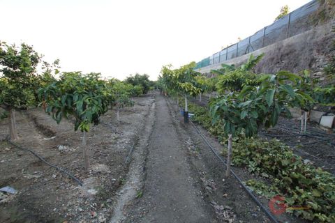 Finca i Salobrena, Granada, Salobrena - € 318.000 | Ref: 1355 - foto 3
