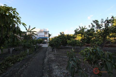 Finca i Salobrena, Granada, Salobrena - € 318.000 | Ref: 1355 - foto 4