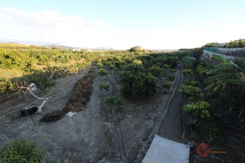 Finca i Salobrena, Granada, Salobrena - € 318.000 | Ref: 1355 - foto 12