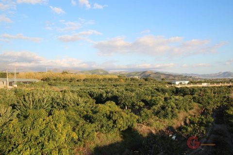 Finca i Salobrena, Granada, Salobrena - € 318.000 | Ref: 1355 - foto 29
