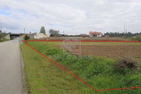 Helårsgrund i Estarreja, Aveiro, Estarreja - € 55.000 | Ref: #ACREN355 - foto 2