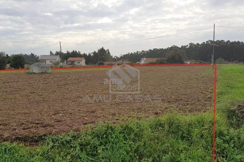 Helårsgrund i Estarreja, Aveiro, Estarreja - € 55.000 | Ref: #ACREN355 - foto 3