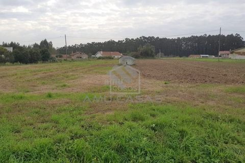 Helårsgrund i Estarreja, Aveiro, Estarreja - € 55.000 | Ref: #ACREN355 - foto 4