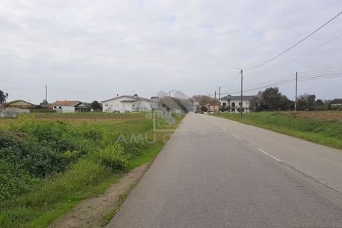 Helårsgrund i Estarreja, Aveiro, Estarreja - € 55.000 | Ref: #ACREN355 - foto 6