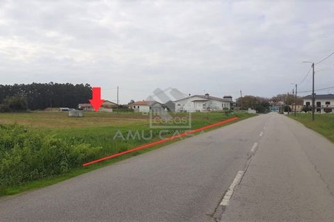 Helårsgrund i Estarreja, Aveiro, Estarreja - € 55.000 | Ref: #ACREN355 - foto 7