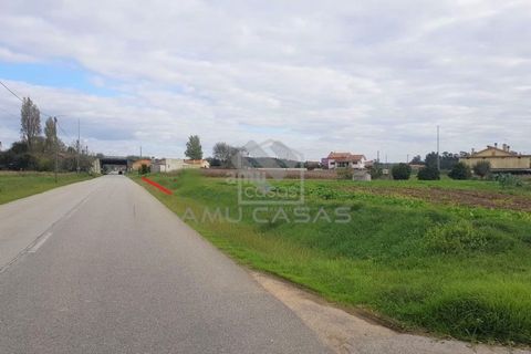 Helårsgrund i Estarreja, Aveiro, Estarreja - € 55.000 | Ref: #ACREN355 - foto 8