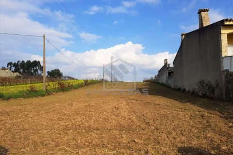 Helårsgrund i Estarreja, Aveiro, Estarreja - € 45.000 | Ref: #ACREN374 - foto 1
