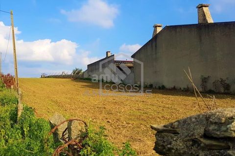 Helårsgrund i Estarreja, Aveiro, Estarreja - € 45.000 | Ref: #ACREN374 - foto 2