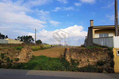 Helårsgrund i Estarreja, Aveiro, Estarreja - € 45.000 | Ref: #ACREN374 - foto 3