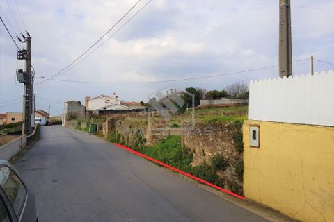 Helårsgrund i Estarreja, Aveiro, Estarreja - € 45.000 | Ref: #ACREN374 - foto 5
