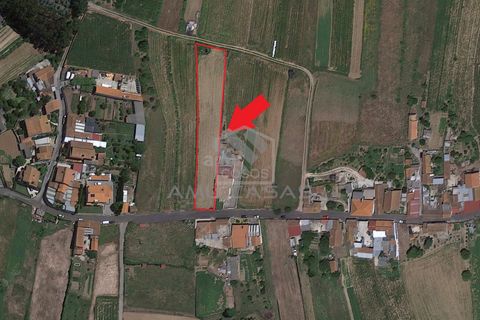Helårsgrund i Estarreja, Aveiro, Estarreja - € 45.000 | Ref: #ACREN374 - foto 6
