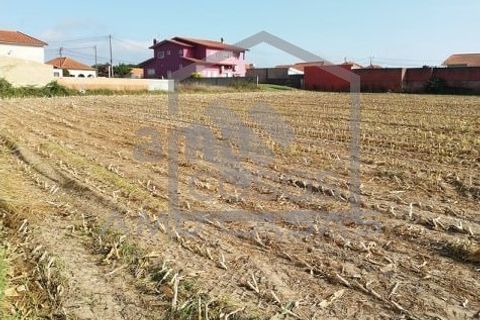 Helårsgrund i Estarreja, Aveiro, Estarreja - € 125.000 | Ref: #ACSB220 - foto 1