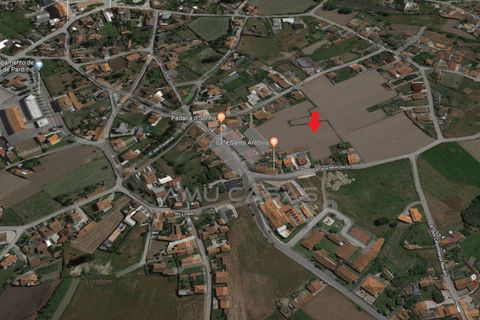 Helårsgrund i Estarreja, Aveiro, Estarreja - € 125.000 | Ref: #ACSB220 - foto 3