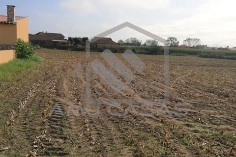 Helårsgrund i Estarreja, Aveiro, Estarreja - € 125.000 | Ref: #ACSB220 - foto 5