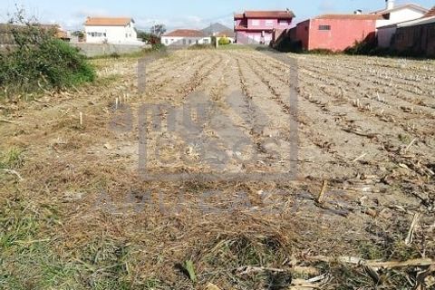 Helårsgrund i Estarreja, Aveiro, Estarreja - € 125.000 | Ref: #ACSB220 - foto 7