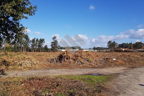 Helårsgrund i Estarreja, Aveiro, Estarreja - € 55.000 | Ref: #ACREN427 - foto 2