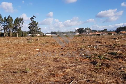 Helårsgrund i Estarreja, Aveiro, Estarreja - € 55.000 | Ref: #ACREN427 - foto 3