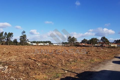 Helårsgrund i Estarreja, Aveiro, Estarreja - € 55.000 | Ref: #ACREN427 - foto 10