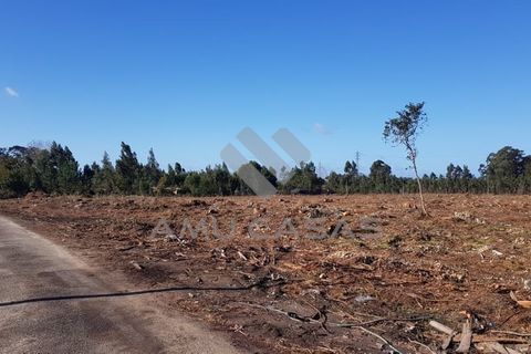 Helårsgrund i Estarreja, Aveiro, Estarreja - € 55.000 | Ref: #ACREN427 - foto 14