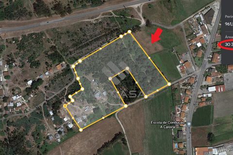 Helårsgrund i Estarreja, Aveiro, Estarreja - € 55.000 | Ref: #ACREN427 - foto 8