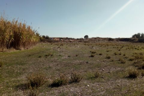 Helårsgrund i Sintra, Lisbon, Sintra - € 500.000 | Ref: pt1888 - foto 12