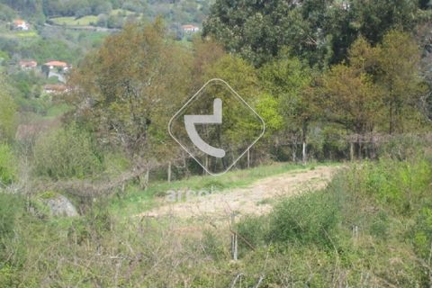 Terra a Arcos de Valdevez, Viana do Castelo, Arcos de Valdevez - € 38.000 | Ref: AV2953 - foto 3