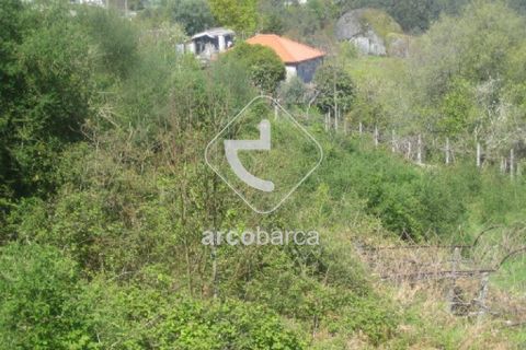 Terra a Arcos de Valdevez, Viana do Castelo, Arcos de Valdevez - € 38.000 | Ref: AV2953 - foto 4