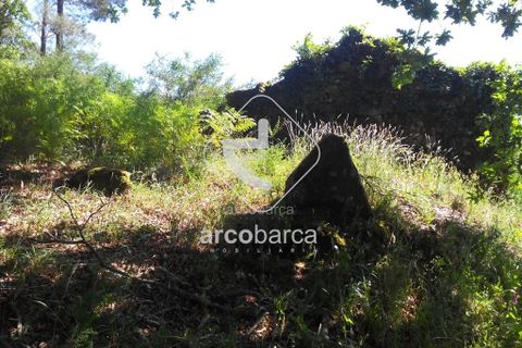 Byhus i Paredes de Coura, Viana do Castelo, Paredes de Coura - € 48.000 | Ref: AV3529 - foto 4