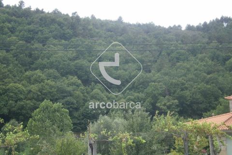 Helårsgrund i Ponte da Barca, Viana do Castelo, Ponte da Barca - € 37.000 | Ref: AV2461 - foto 9