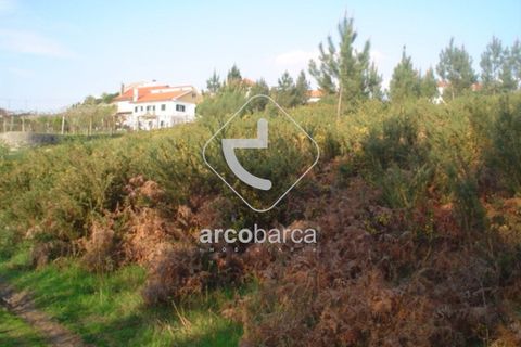 Terra a Arcos de Valdevez, Viana do Castelo, Arcos de Valdevez - € 30.000 | Ref: AV0307 - foto 5