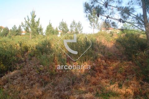 Terra a Arcos de Valdevez, Viana do Castelo, Arcos de Valdevez - € 30.000 | Ref: AV0307 - foto 4