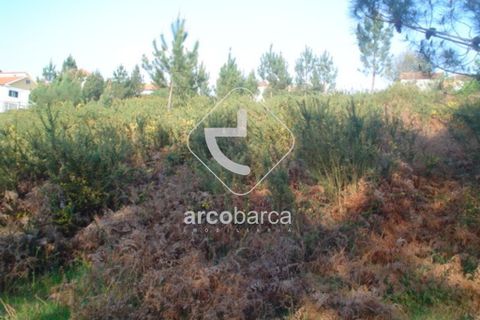 Terra a Arcos de Valdevez, Viana do Castelo, Arcos de Valdevez - € 30.000 | Ref: AV0307 - foto 6