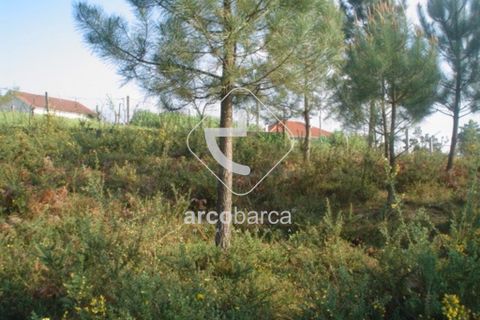 Terra a Arcos de Valdevez, Viana do Castelo, Arcos de Valdevez - € 30.000 | Ref: AV0307 - foto 10