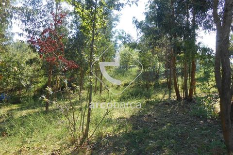 Terra a Arcos de Valdevez, Viana do Castelo, Arcos de Valdevez - € 75.000 | Ref: AV3582 - foto 3