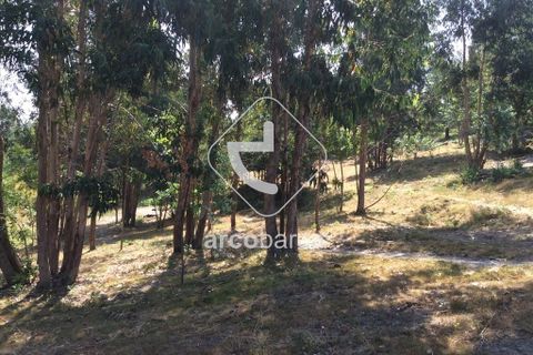 Terra a Arcos de Valdevez, Viana do Castelo, Arcos de Valdevez - € 75.000 | Ref: AV3582 - foto 5