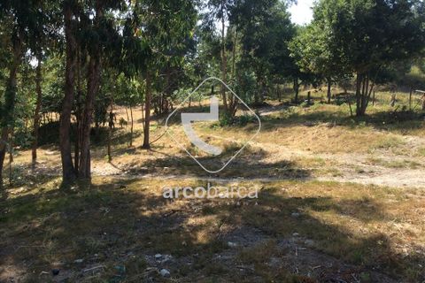 Terra a Arcos de Valdevez, Viana do Castelo, Arcos de Valdevez - € 75.000 | Ref: AV3582 - foto 6