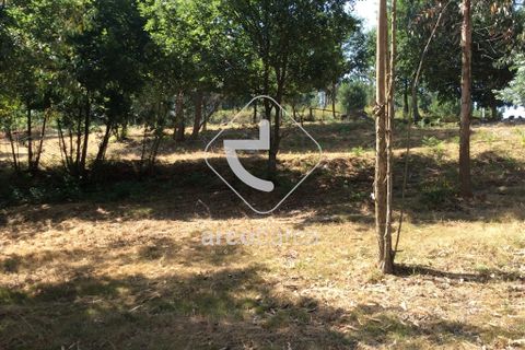 Terra a Arcos de Valdevez, Viana do Castelo, Arcos de Valdevez - € 75.000 | Ref: AV3582 - foto 7