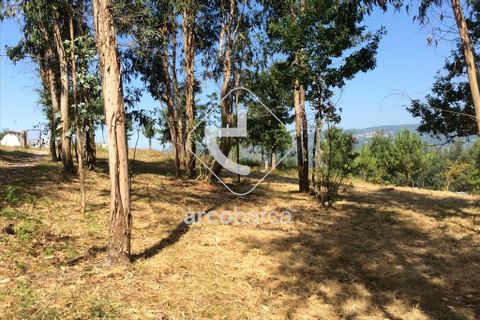 Terra a Arcos de Valdevez, Viana do Castelo, Arcos de Valdevez - € 75.000 | Ref: AV3582 - foto 8