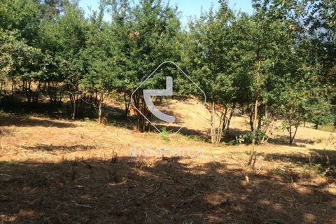 Terra a Arcos de Valdevez, Viana do Castelo, Arcos de Valdevez - € 75.000 | Ref: AV3582 - foto 10