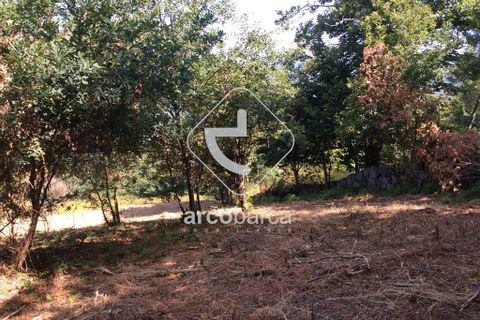 Terra a Arcos de Valdevez, Viana do Castelo, Arcos de Valdevez - € 75.000 | Ref: AV3582 - foto 11