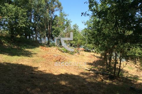 Terra a Arcos de Valdevez, Viana do Castelo, Arcos de Valdevez - € 75.000 | Ref: AV3582 - foto 12