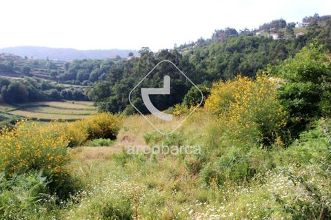 Terra a Ponte de Lima, Viana do Castelo, Ponte de Lima - € 20.000 | Ref: AV4459 - foto 2