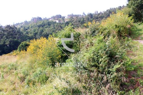Terra a Ponte de Lima, Viana do Castelo, Ponte de Lima - € 20.000 | Ref: AV4459 - foto 3