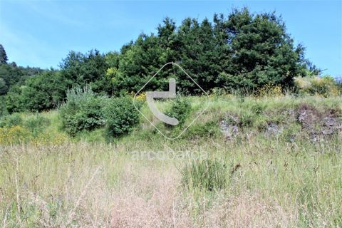 Terra a Ponte de Lima, Viana do Castelo, Ponte de Lima - € 20.000 | Ref: AV4459 - foto 4