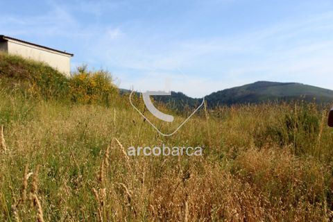Terra a Ponte de Lima, Viana do Castelo, Ponte de Lima - € 20.000 | Ref: AV4459 - foto 5