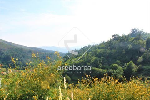 Terra a Ponte de Lima, Viana do Castelo, Ponte de Lima - € 20.000 | Ref: AV4459 - foto 6