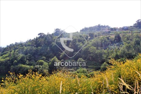 Terra a Ponte de Lima, Viana do Castelo, Ponte de Lima - € 20.000 | Ref: AV4459 - foto 7